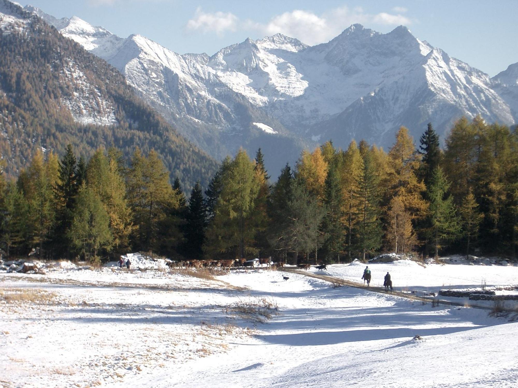 Le Vieux Rascard Chambres d'Hotes Champoluc Extérieur photo